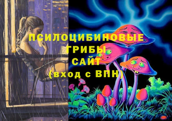 стафф Верхний Тагил