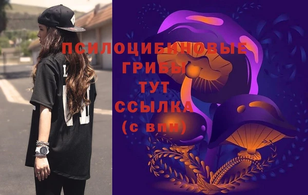 стафф Верхний Тагил